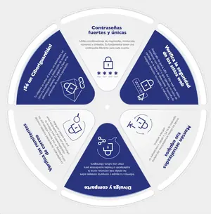Spradling / Proquinal · rueda ciberguardian rueda ciberguardian