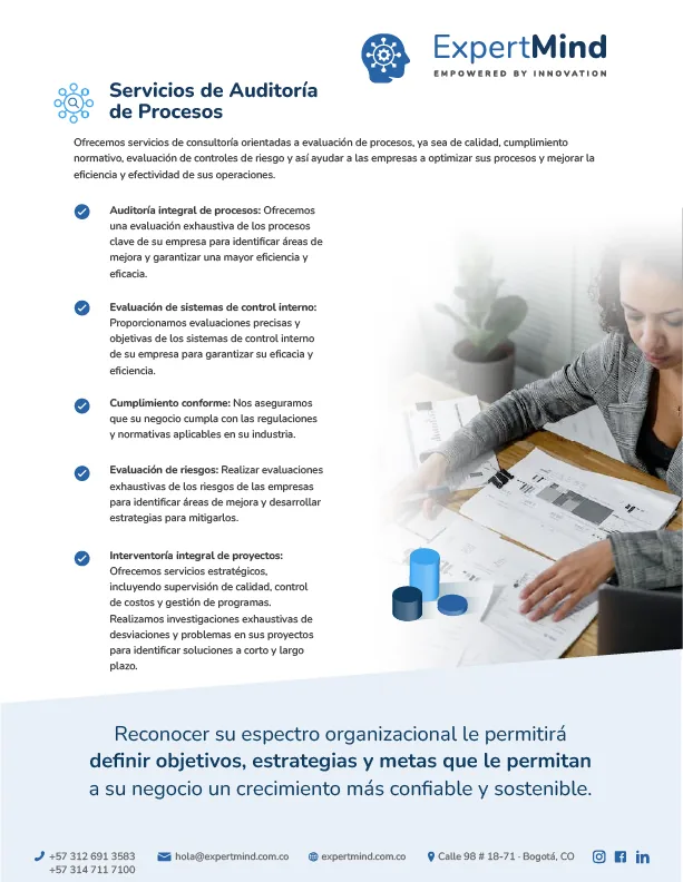 Lámina de servicios de auditoría de procesos