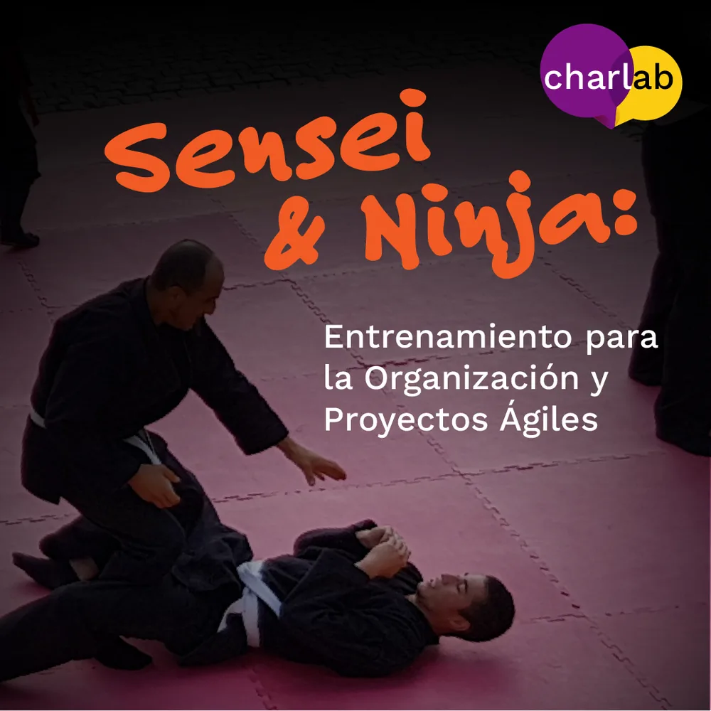 Sensei y Ninja, tercera versión