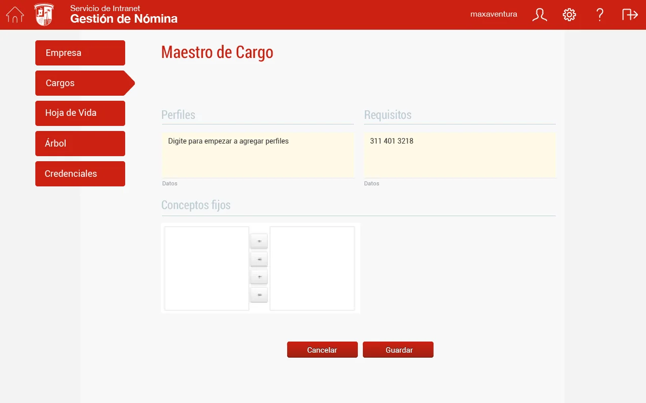 Maestro de cargo, pestaña de perfiles y requisitos