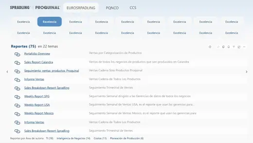Reportes BI — Spradling